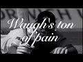 Waugh's ton of pain