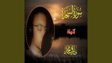 طارق محمد سورة السجدة