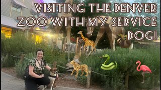 Taking My Service Dog To The Zoo!