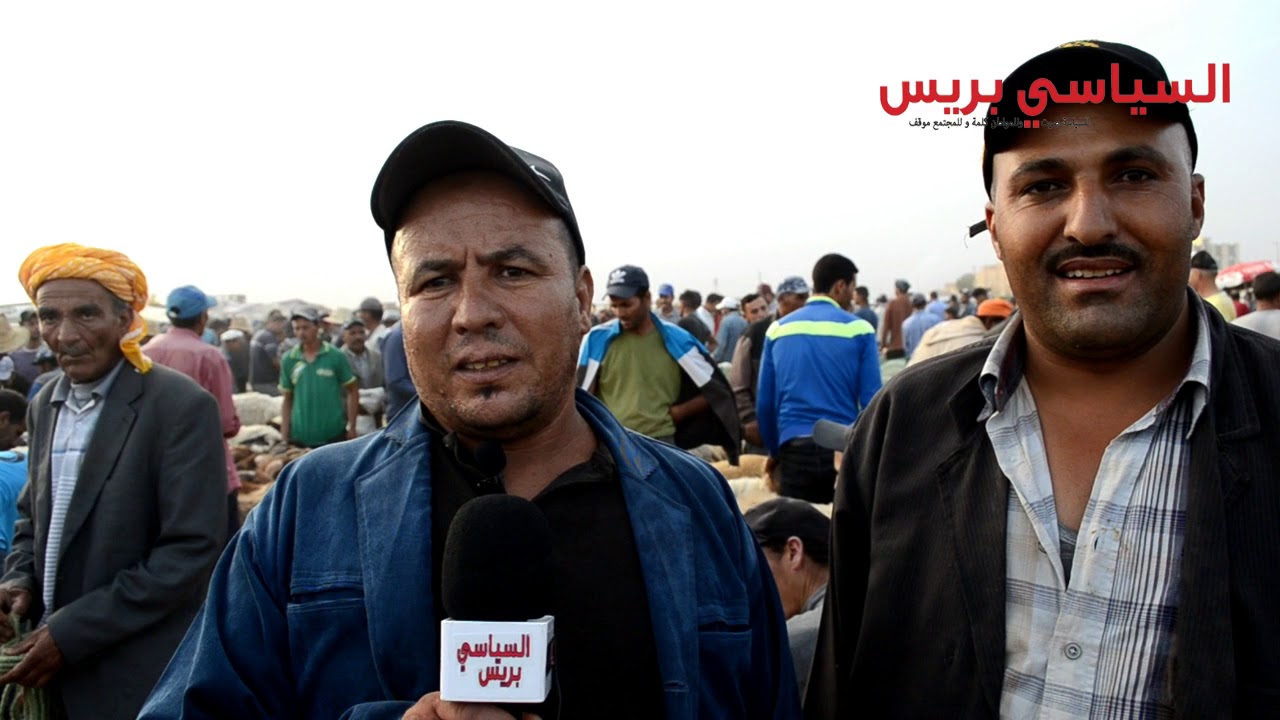 جولة في السوق الأسبوعي لمدينة ميســــــــــور آجي تشوفو ثمن الخروف 06/08/2019