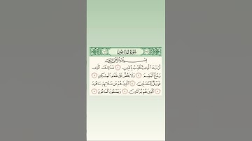 سورة الماعون ، للقارئ ياسين الجزائري
