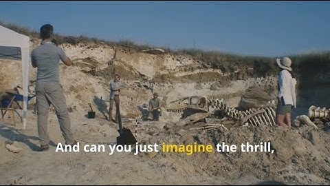 How Do You Dig Up a Dinosaur? | A Kid
