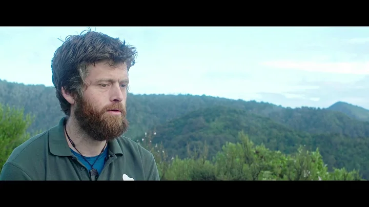 Dan Wharton - Rein and Brew The Kiwi Dogs