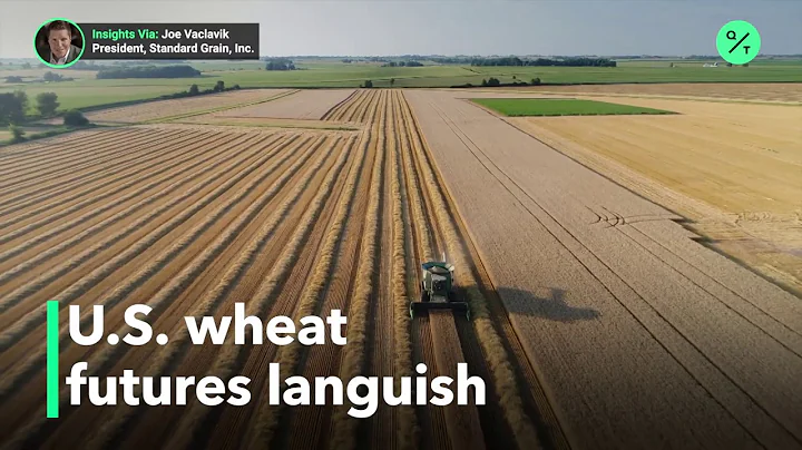 Whats affecting winter wheat futures?