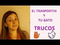 ¿Tienes problemas con tu gato y el trasportín?