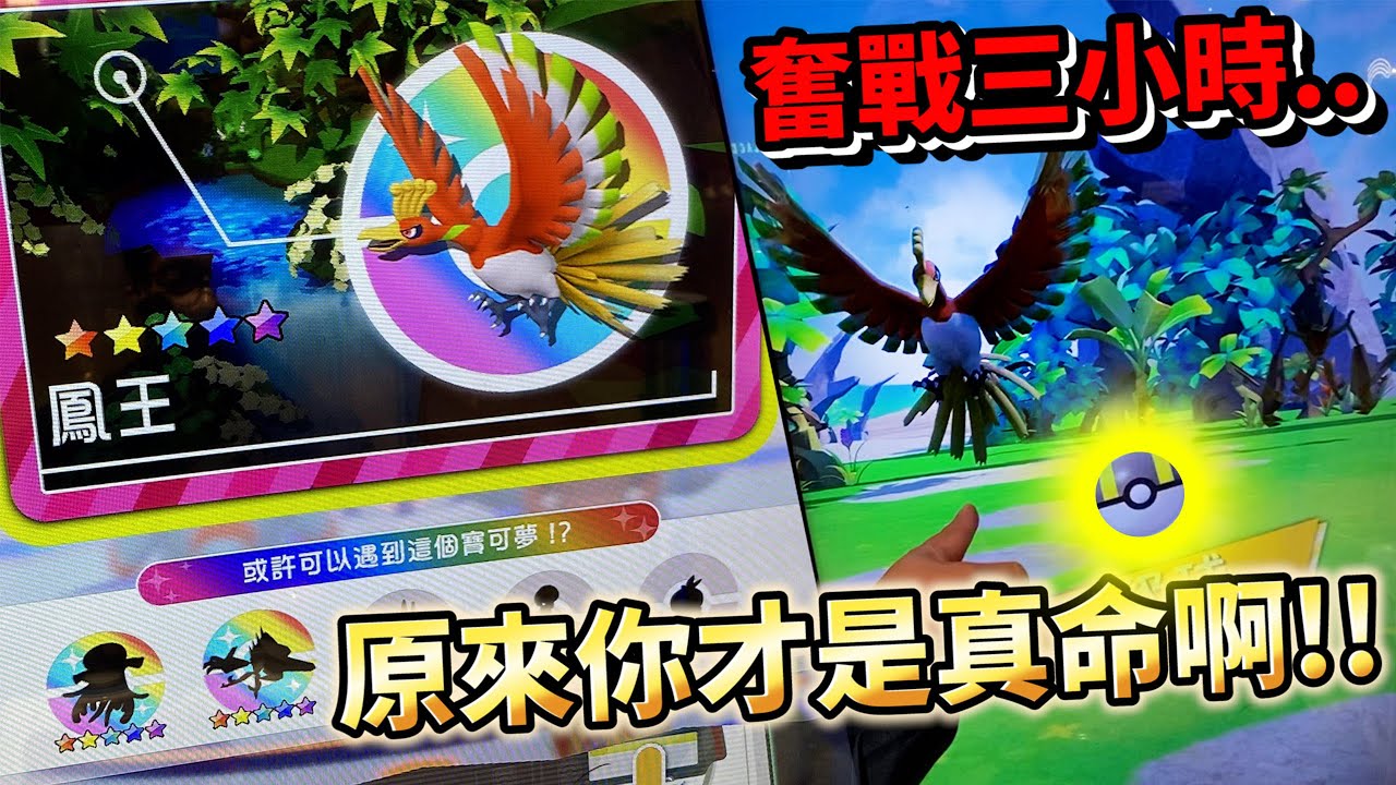 【Pokémon gaole RUSH3彈】打鳳王打了三小時結果你才是真命天子啊!送你出去啦五星寶可夢