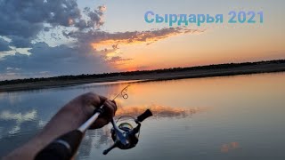 видео: На Сырдарью за Жерехом!!! картинка: На Сырдарью за Жерехом!!!