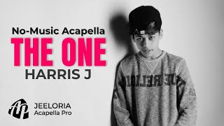 Harris J - The One (Acapella No-Music) - Lyrics Video