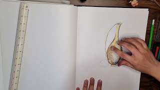 The Basics of Still Life Drawing, how to simplify everyday objects in drawing