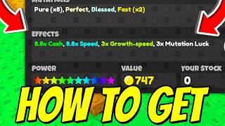 *NEW* How To JUST GET PERFECT & BLESSED MUTATIONS In Sell Lemons! (Orchard Guide) Roblox screenshot 4