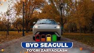 BYD SEAGULL | To'gri zaryadlash
