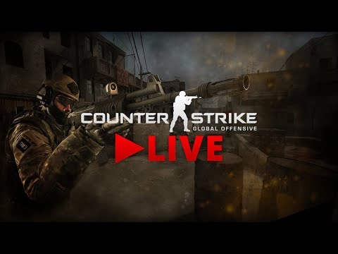 ვთმაშობთ CS:GO გიჟივით / ნელ ნელა ვიხოდებით