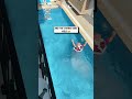 Bold balcony jump 😳                              🎥: danwin888 via BViral