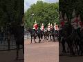 London Horse Parade #shorts #london