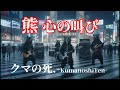 熊 -心の叫び- ROCK MV【クマの死.-KumanoshiTen-】
