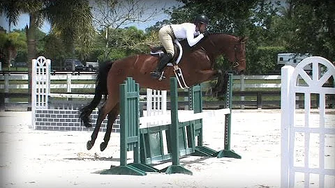 George Morris Schooling Series: Tori Colvin School...
