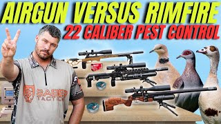 AIRGUN HUNTING VERSUS RIMFIRE HUNTING I 22 CALIBER PEST CONTROL WITH AIRGUN AND RIMFIRE