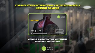 Rhomboids Lesson Sample: Strength System International Certification Level 2
