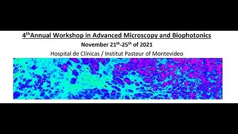 Application talk #5 Leonel Malacrida: Spectral phasor analysis of ACDAN fluorescence on in vivo