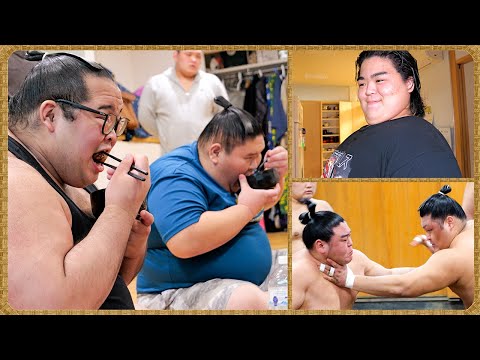 SUMO] 🔥 Future Champions! Explosive Growth & Mega-Thick Muscle