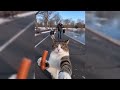 You won’t believe what he did 🙀crazy cat videos compilation! 🐈‍⬛