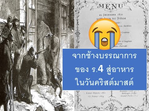 เหลาเรื่อง EP.1 : ชะตากรรมช้าง Castor และ Pollux จากช้างบรรณาการของ ร.4 สู่อาหารในวันคริสต์มาสต์