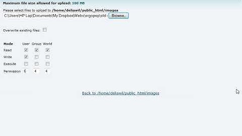 How to Upload Images in cPanel