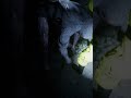 قفل عليا الباب و الوحش ورايا اكسبلور Gaming العاب رعب رعب Escapethebackrooms قفل عليا الباب و الوحش ورايا اكسبلور Gaming العاب رعب رعب Escapethebackrooms