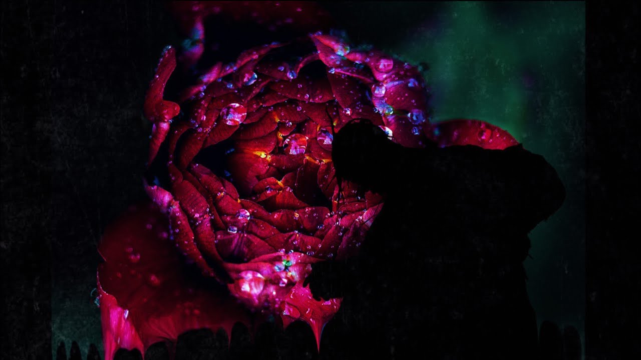 Ghost - Ecstasy and LSD(AMV) (prod. by @prodsapjer) - YouTube