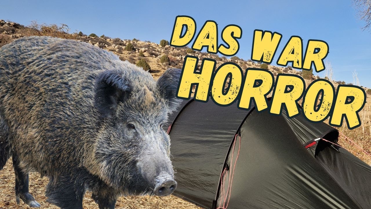 Eine Nacht mit Wildschweinen wird zu einem der besten Abende. RadZeltWelt -Die Fahrradweltreise[#13]