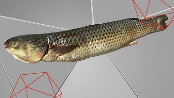 3D Scanning Soft Objects