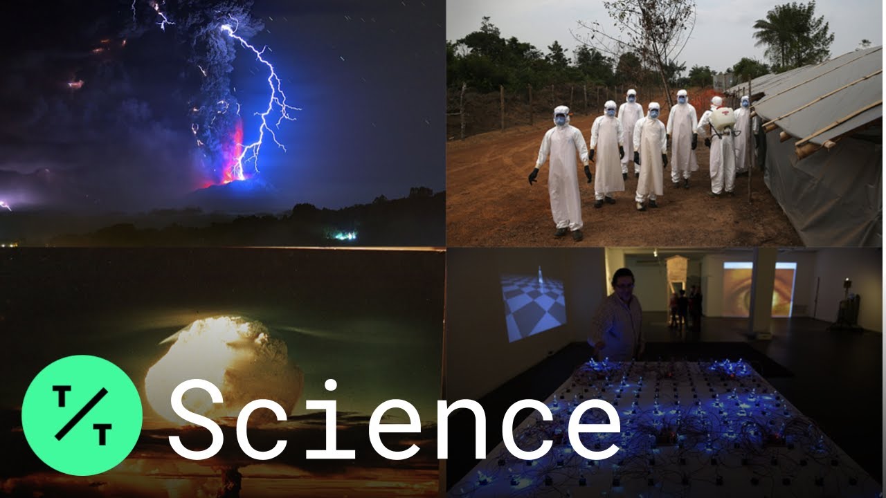 What Are the Greatest Threats to Humanity? Author Bryan Walsh Explains in His New Book 'End Times'