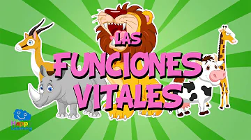 ¿Cuáles son las tres funciones de los animales?