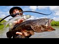 Solo Survival BOWFISHING COD Catch & Cook LIVING off the LAND! (RIVER MONSTERS)