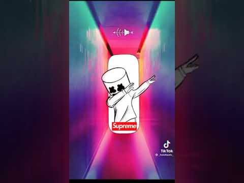 عمري ما قصرت معاكم 