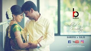 Sandya Saju Kerala Hindu Wedding Highlights Redbirdvisuals