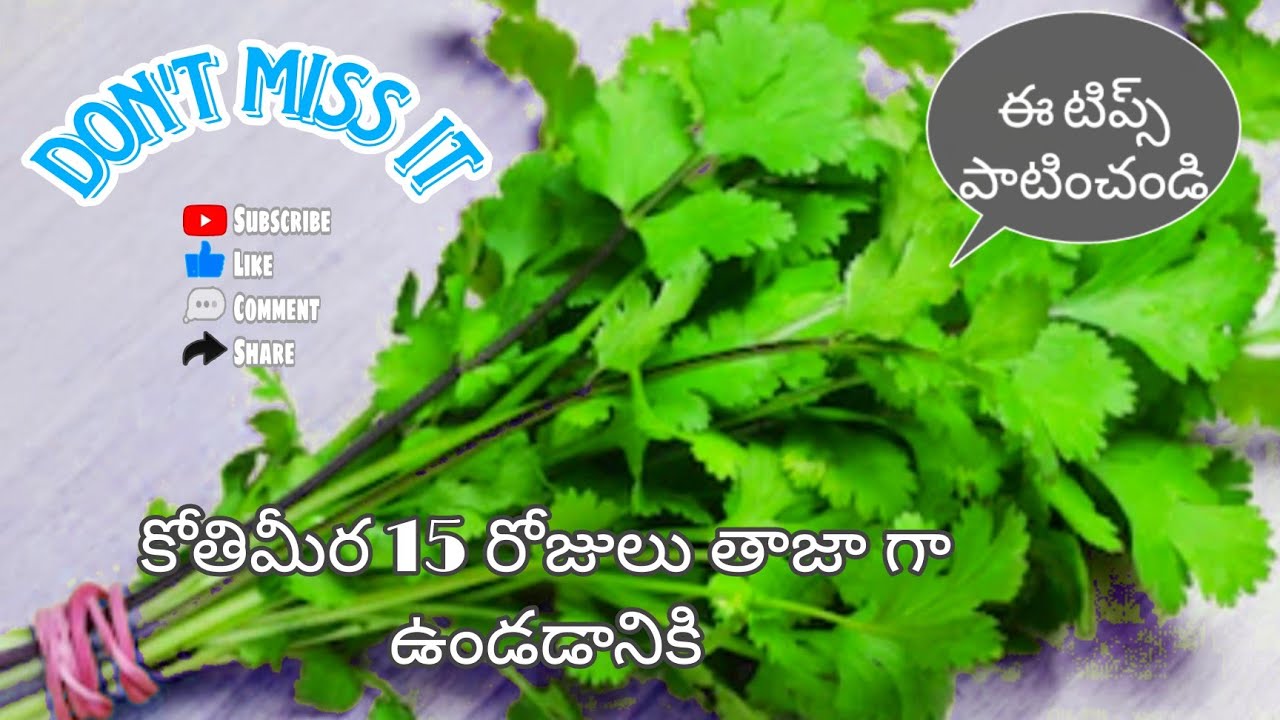 Coriander Leaf Natural Fresh Tipscontent ideas.//Health tips telugu