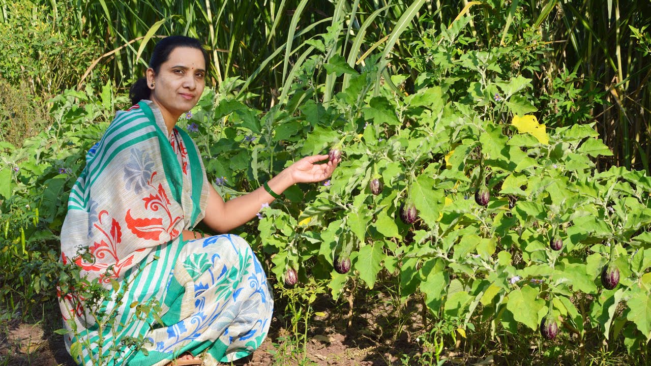 Bharit recipe | Vangyache Bharit | Bengan Ka Bharta | Brinjal Recipe | Bharta Recipe