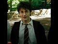 Harry potter edit  clandestina edit  daniel radcliffe edit  s4 status official