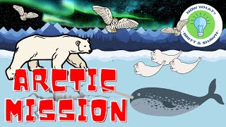 Arctic Mission - PE Games and Chase Games | Virtual Physical Education | Brain Breaks