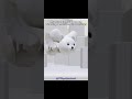 #helpmemakethismakesense
