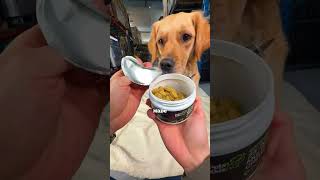 Cheese or multivitamin? Or BOTH?