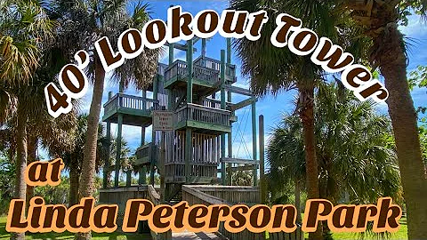Beautiful views of the Gulf & Palm Hammock from th...