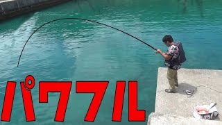 渡嘉敷でジャイアントトレバリを狙う【巨大魚】