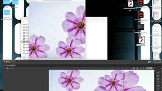 Animate: Movie Clip Animation Basics