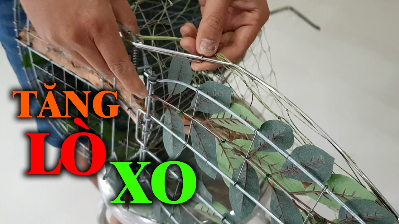 Tăng lò xo lụp cu gáy