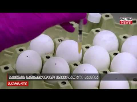 გაციების საწინააღმდეგო უნივერსალური ვაქცინა