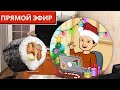 Научились делать Сыр Филадельфия!!! Готовим роллы