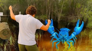 Catching the RAREST Crawfish in Florida’s Swamps! When Is Crawfish Season In Florida