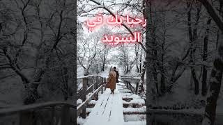 الهجرة الى السويد (عرب في السويد)#shorts